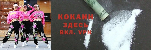 крисы Сатка