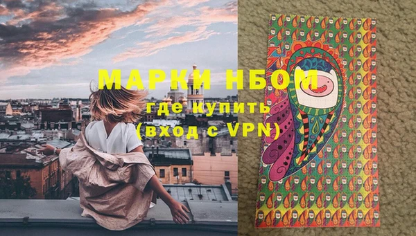 PSILOCYBIN Балахна
