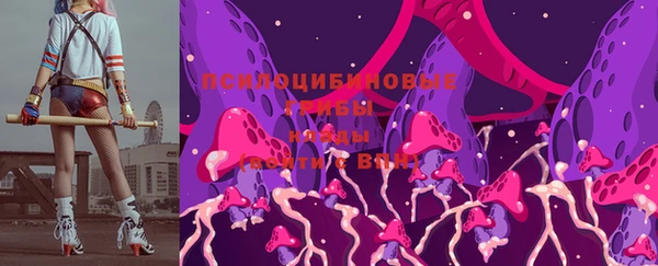 PSILOCYBIN Балахна